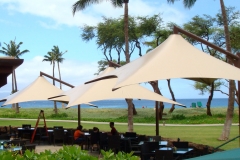 Specialty Shape Umbrella